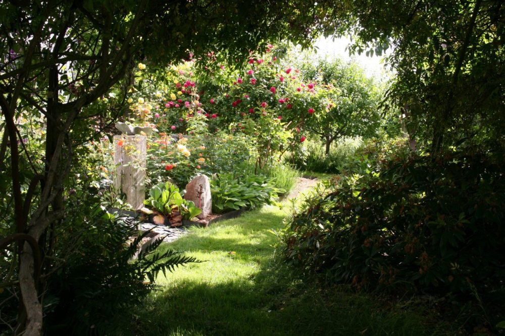 Refugium-Ehrenberg_Rosengarten