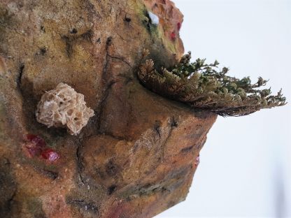 Sinnebild I – Bild 2